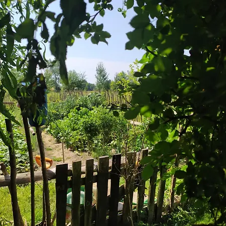 Domki Bialogarda Casa de Férias *