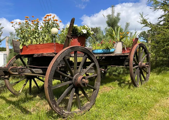 Tatil Evi Domki Bialogarda Bialogarda