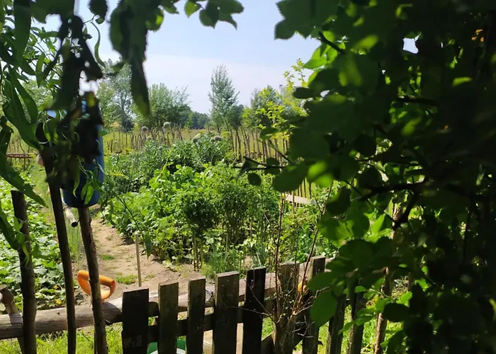 Domki Bialogarda Tatil Evi *